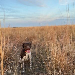 Meet your Posher, Kyle